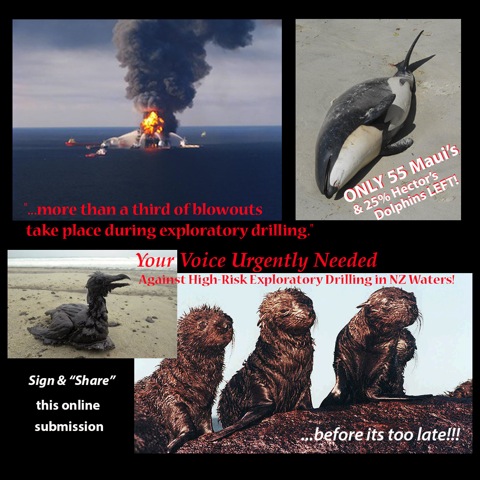 Your Voice Urgently Needed Against High Risk Exploratory Drilling in NZ Waters!
