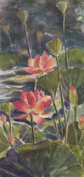 Lotus Blossoms